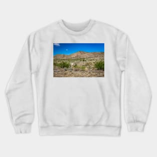 Criollo Cattle on the Open Range Crewneck Sweatshirt